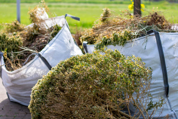 Debris Removal in Castro Valley, CA